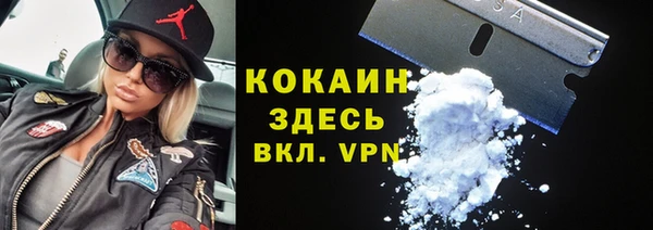 шишки Балабаново