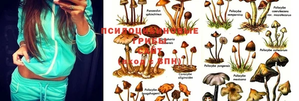 МДПВ Арсеньев