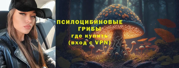 стаф Балахна