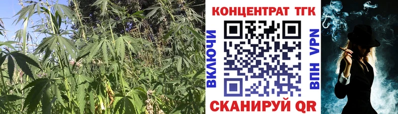 Купить закладки  Карачев  ТГК вейп с тгк 